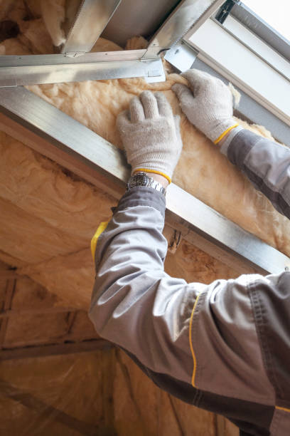 Best Attic Insulation Installation  in Keystone, FL